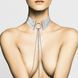 Ожерелье-воротник Bijoux Indiscrets Desir Metallique Collar - Silver SO5919 фото 2